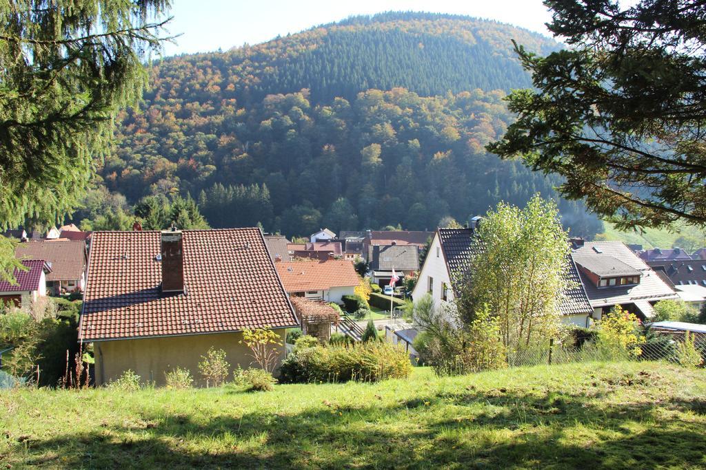 Villa Haus Panoramablick à Sieber Chambre photo